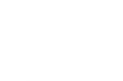DAZZIFY® by Dazzle Paws - Home