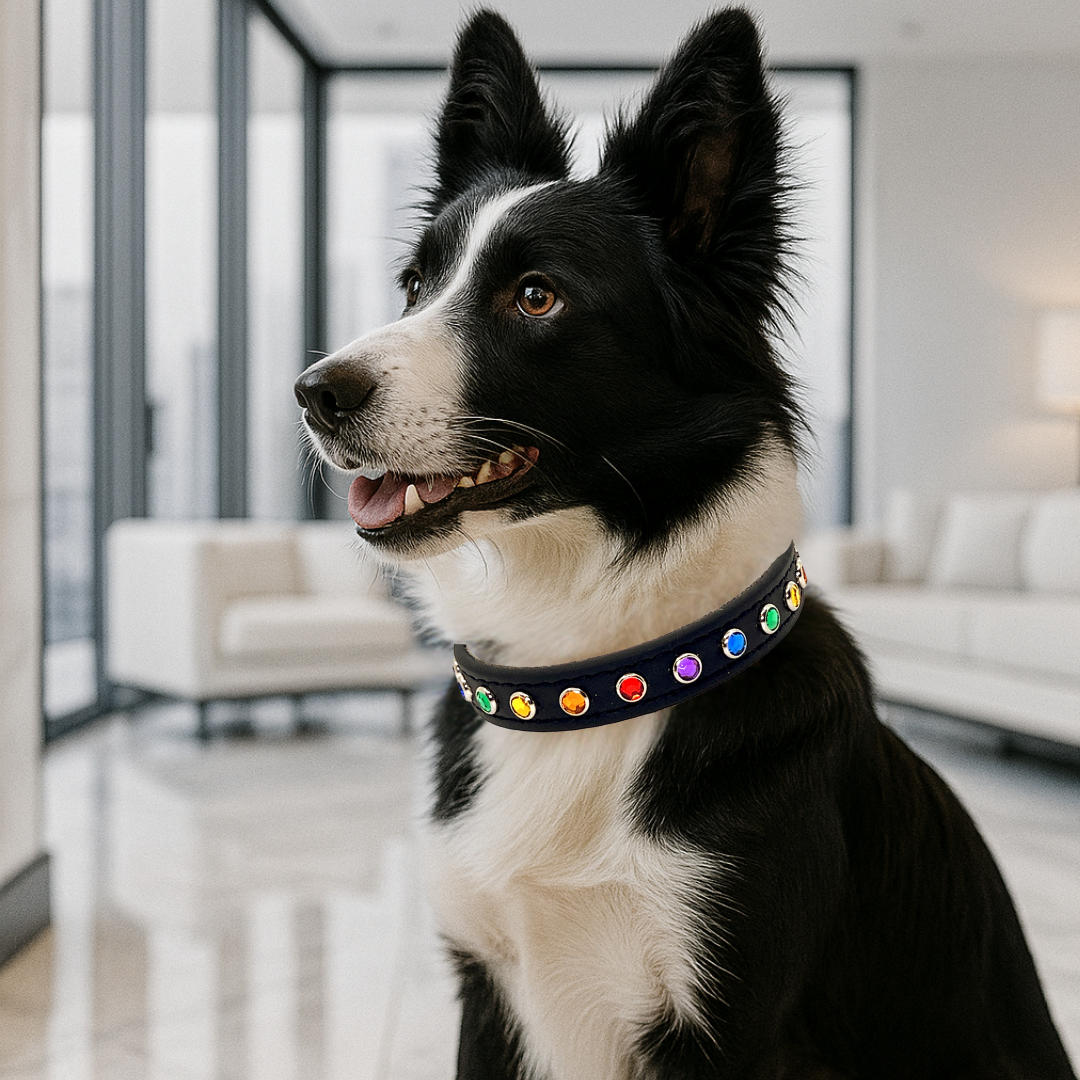 Onyx Black with Rainbow Jewels Dog Collar