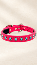 Vivid Pink with Light Blue Jewels Dog Collar