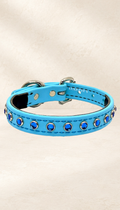Sky Blue with Dark Blue Jewels Dog Collar