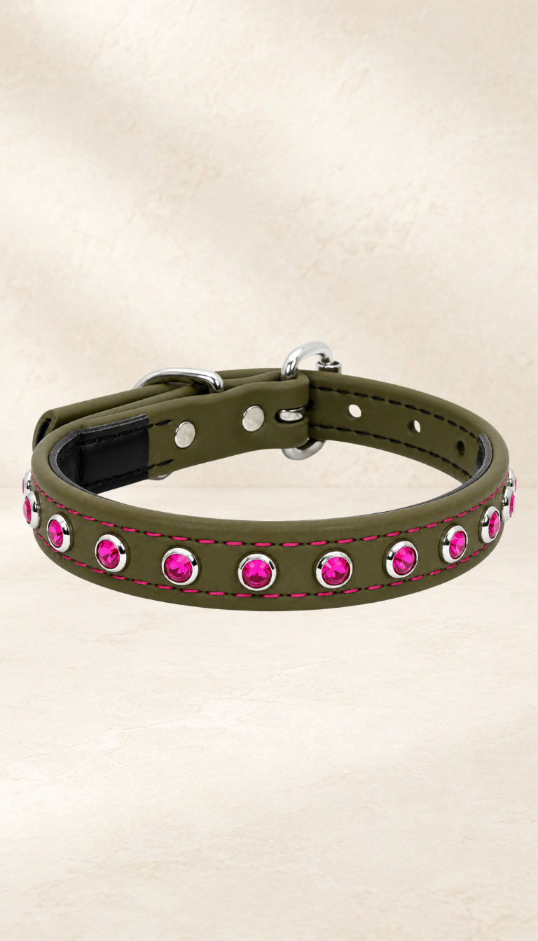 Olive Green with Hot Pink Jewels Dog Collar