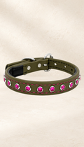 Olive Green with Hot Pink Jewels Dog Collar