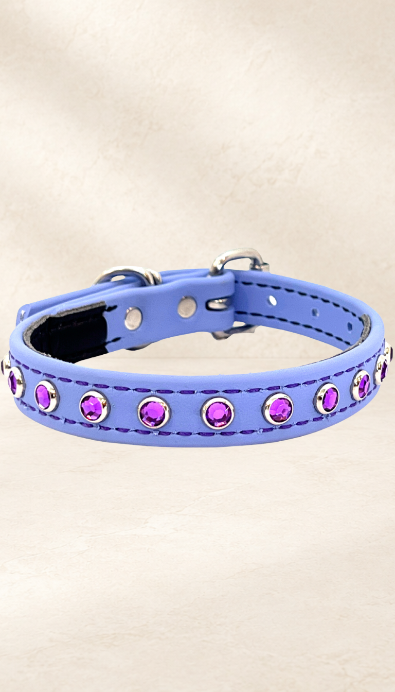 Periwinkle Blue with Purple Jewels Dog Collar
