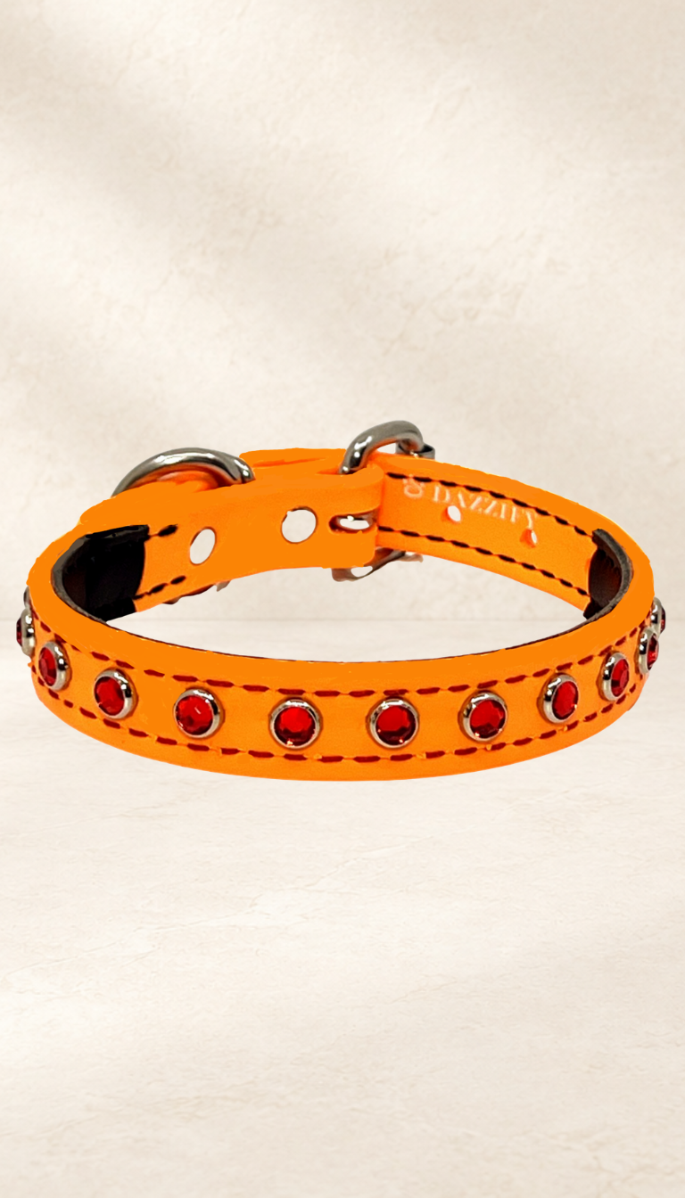 Sunset Orange with Red Jewels Dog Collar
