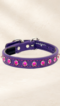 Regal Purple with Hot Pink Jewels Dog Collar