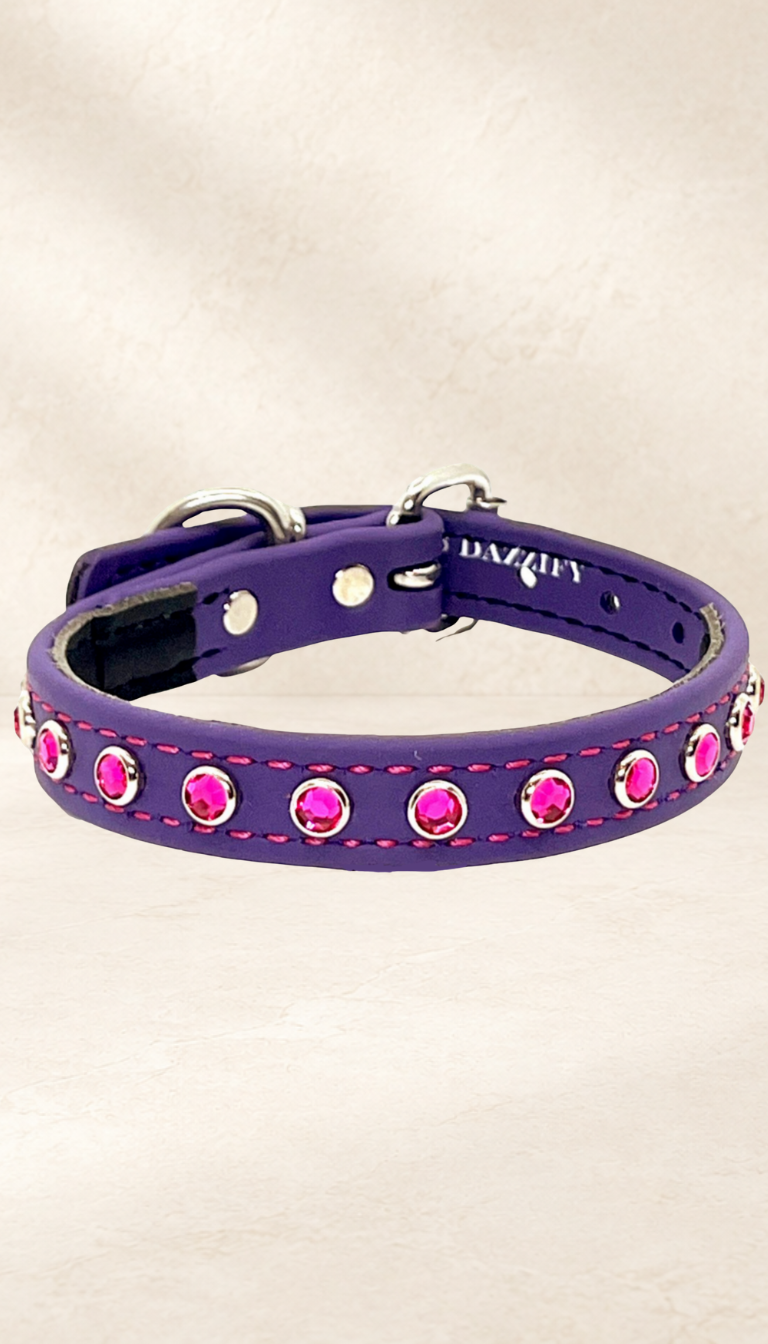 Regal Purple with Hot Pink Jewels Dog Collar