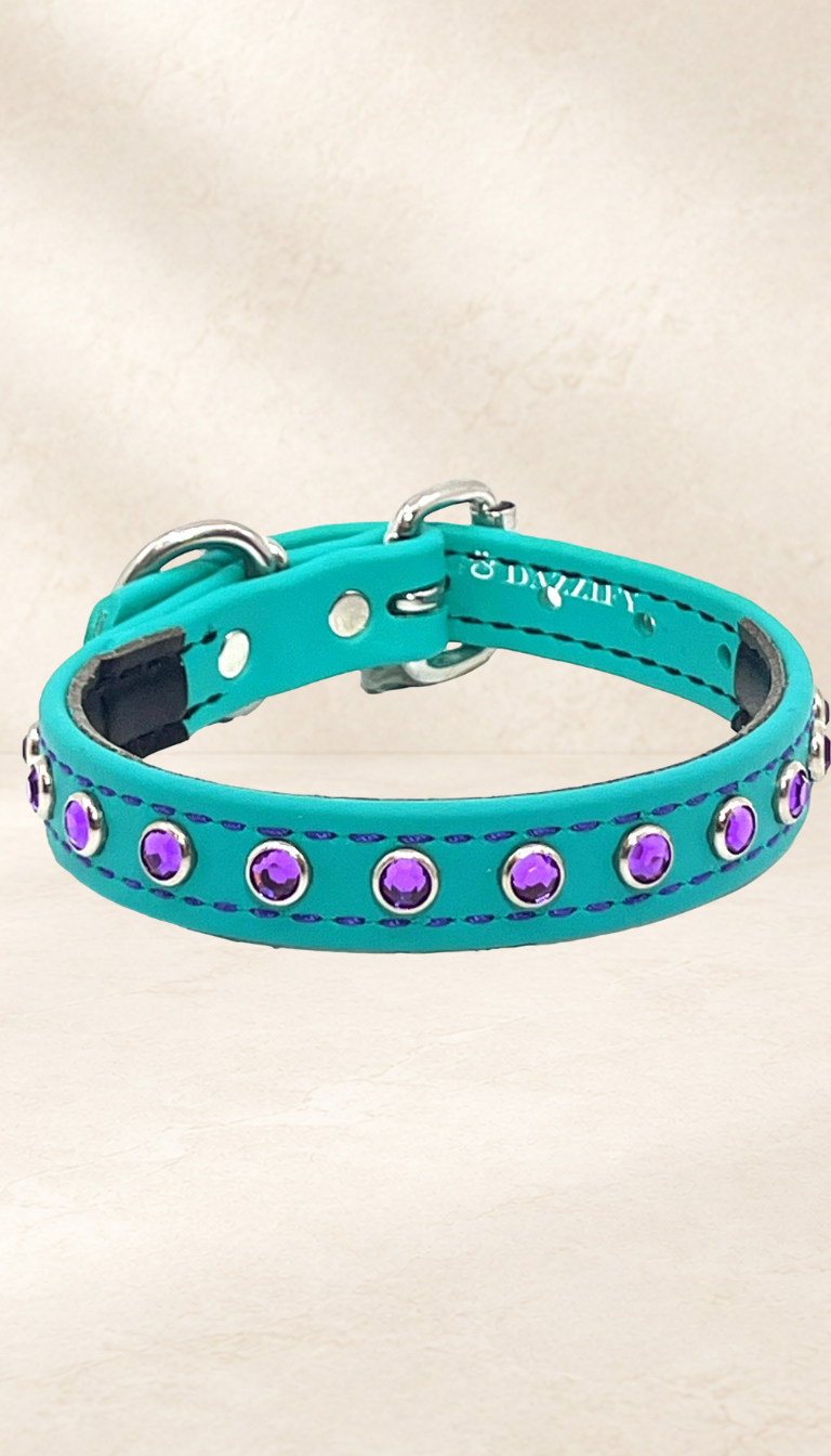 Azure Teal with Purple Jewels Dog Collar