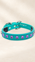 Azure Teal with Purple Jewels Dog Collar